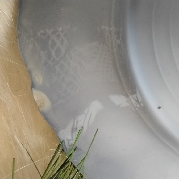 . Stanley Pottery Co 'Touraine' Flow Blue Plate - Bread & Butter 6.5" Side Plate - Picture 6 of 8